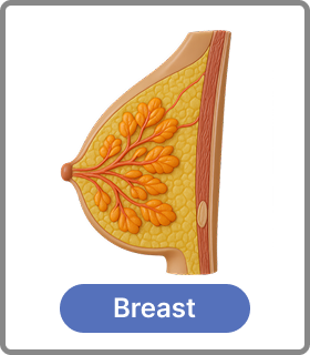 breast