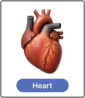 heart